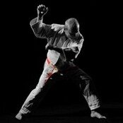 toni-scuola-judo-reggio-emilia-sdk.jpg