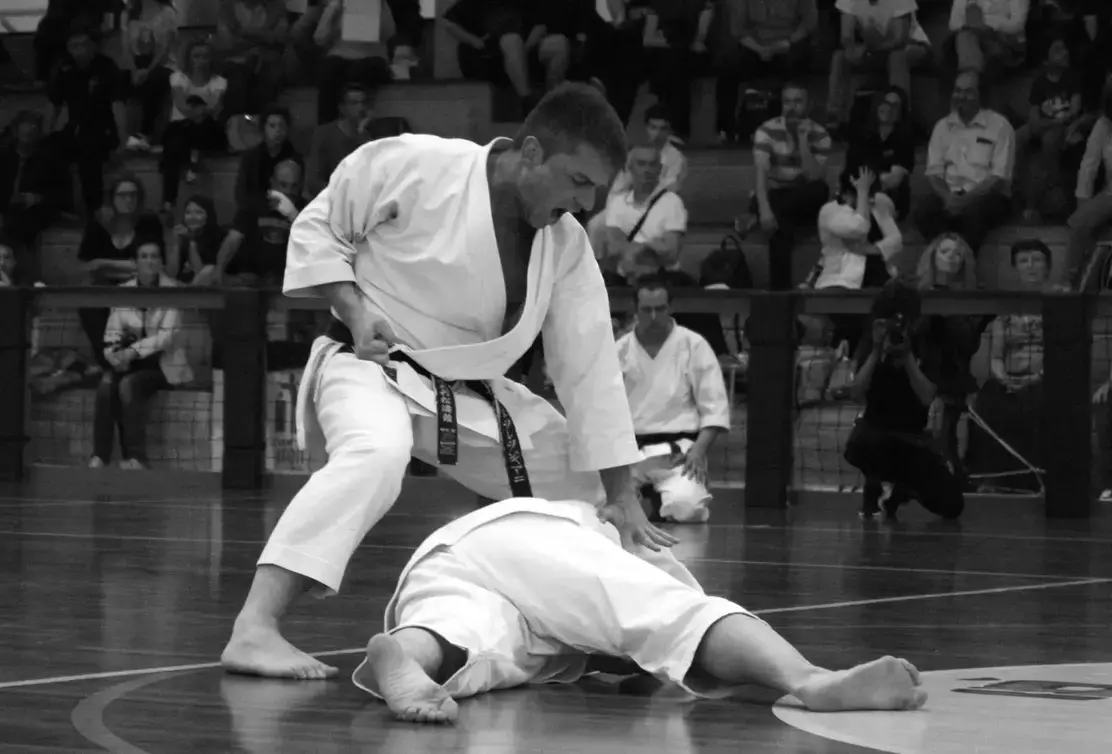 karate-do