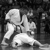 karate-do-maestro-torreggiani-luca.jpg