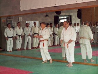 05-centro-studi-judo-reggio-emilia.JPG